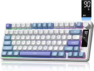 Womier DK75: How Good Is This Tech Accessory?
